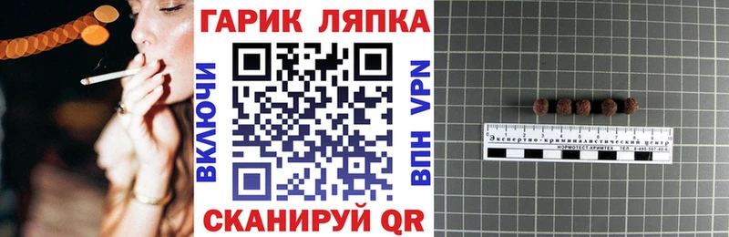 купить наркотики цена  Кадников  ГАШ индика сатива 