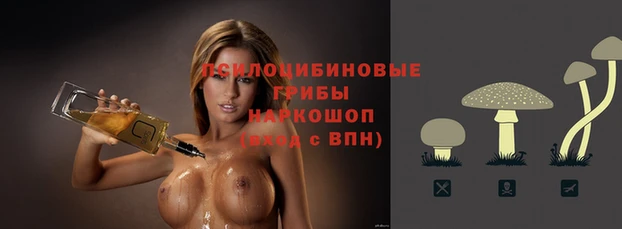 СК Ладушкин