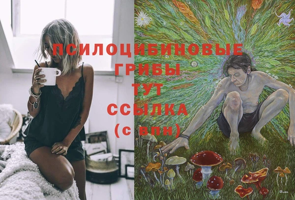 соль курить ск Лабытнанги