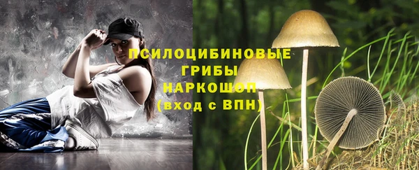 соль курить ск Лабытнанги