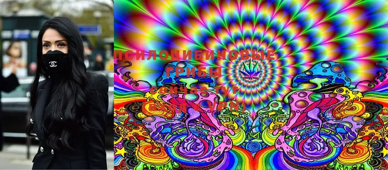 Галлюциногенные грибы Magic Shrooms  Кадников 