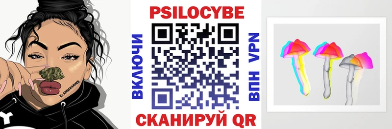 Псилоцибиновые грибы Psilocybine cubensis  Кадников 