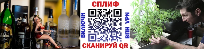 блэк спрут как войти Кадников Каннабис сатива